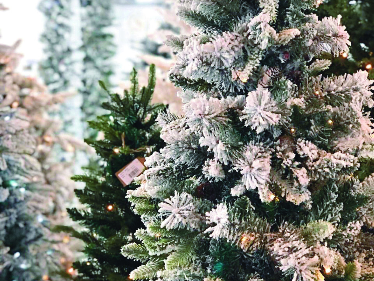 Árvore nevada tem grande procura nas lojas e deve ser a estrela das decorações em 2022.