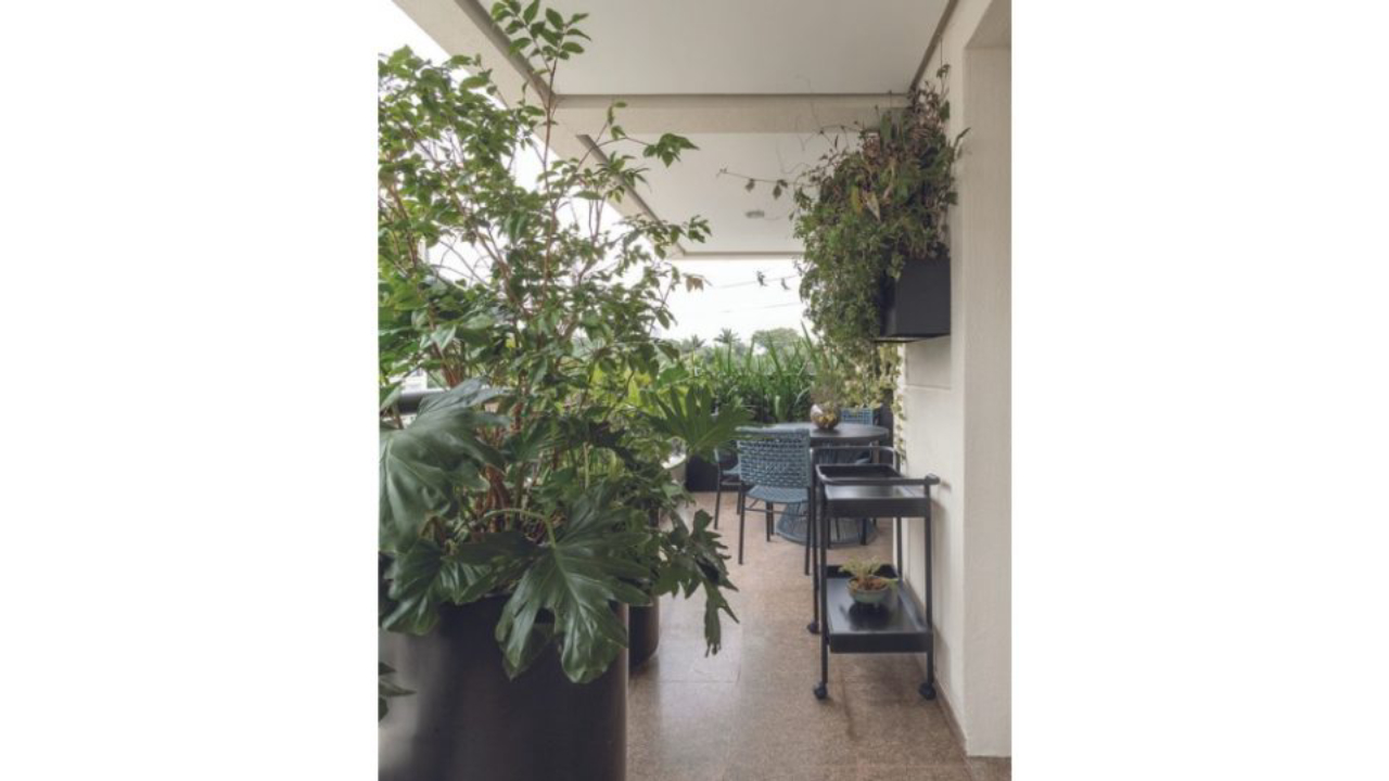 Muito verde aproveitando área de chão e espaço vertical em projeto da paisagista  Luciana Bacheschi, com arquitetura da ALN Arquitetos.