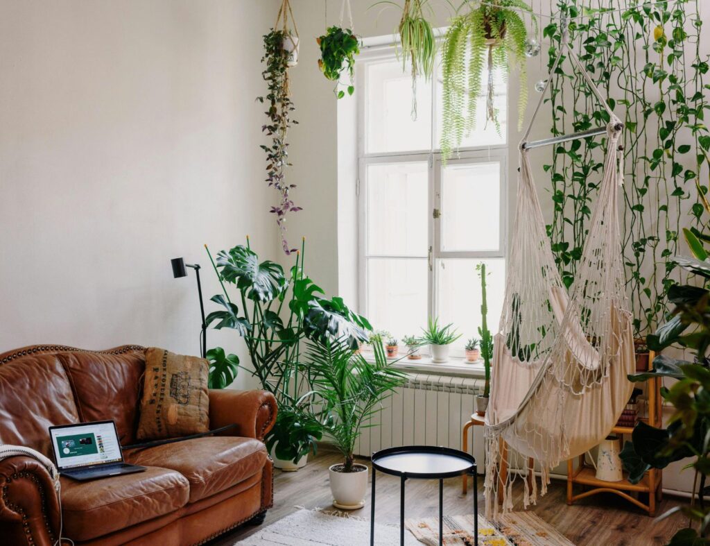 Sala de estar boho cheia de vida e plantas naturais. Transforme seu espaço com modelos de sala de estar inspiradores! Fonte: Pexels