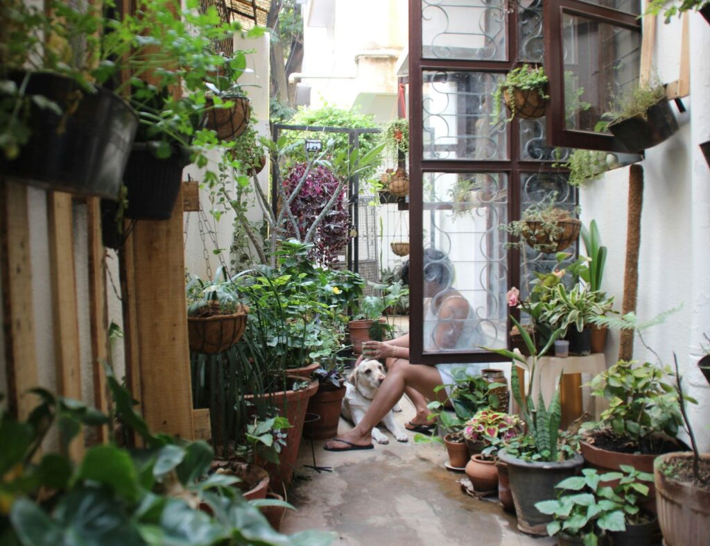 Jardins internos com a natureza dentro de casa. Fonte: Unsplash