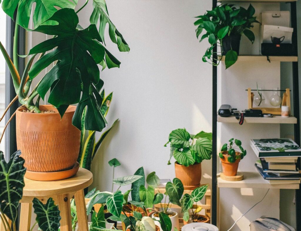 Plantas, luz natural e charme em cada detalhe. Fonte: Unsplash
