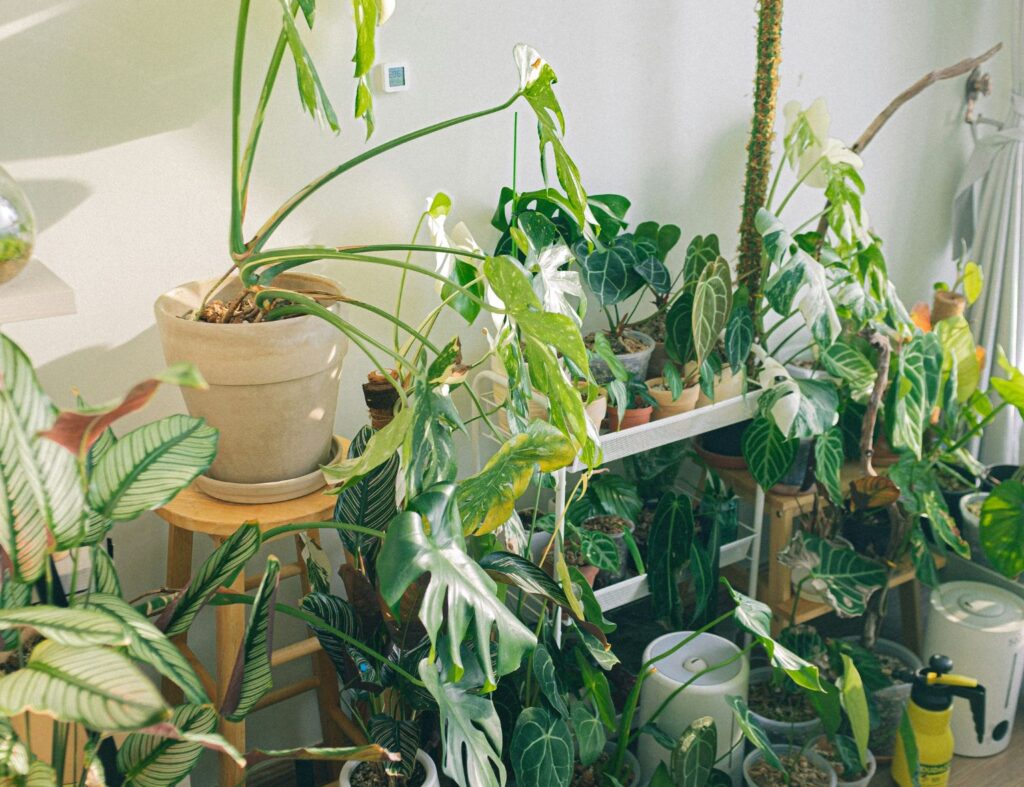 Verde também é decoração: aposte no poder das plantas com os jardins internos! Fonte: Unsplash