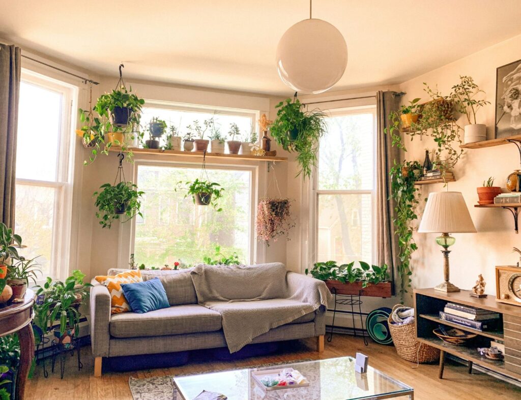 Crie um refúgio verde dentro de casa com vasos e floreiras! Fonte: Unsplash