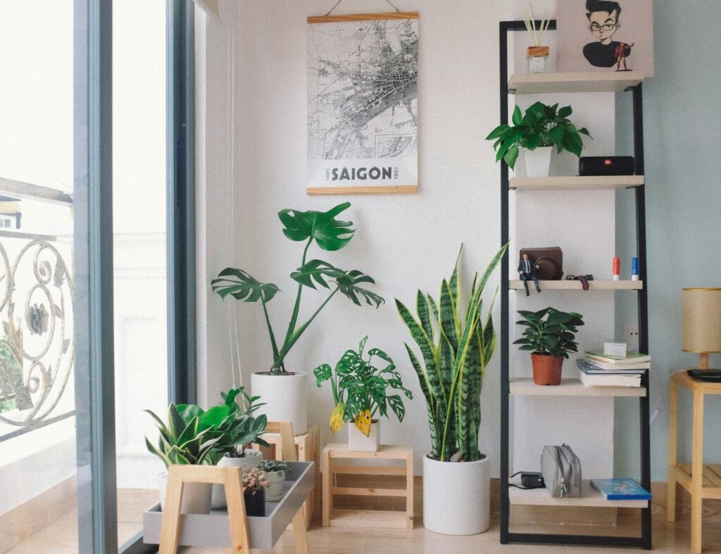 Pequeno espaço, grande impacto: jardins internos que encantam. Fonte: Unsplash