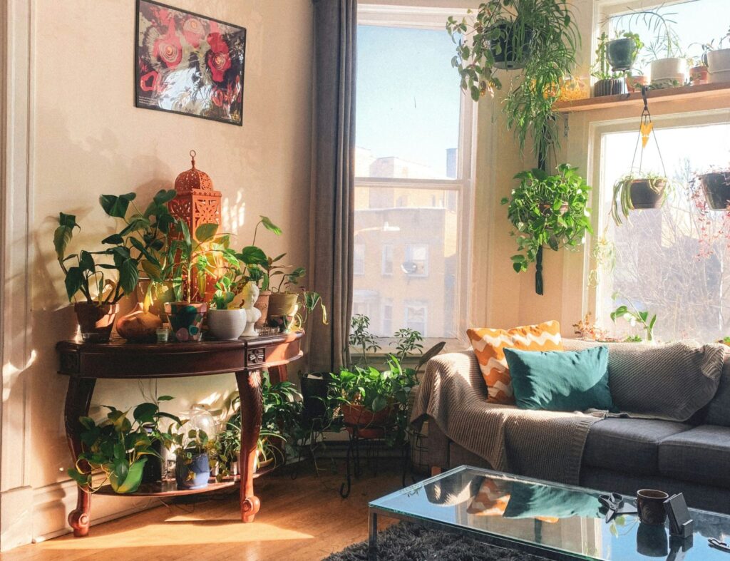 Tenha uma sala de estar com jardins internos e plantas cheias de vida! Fonte: Unsplash
