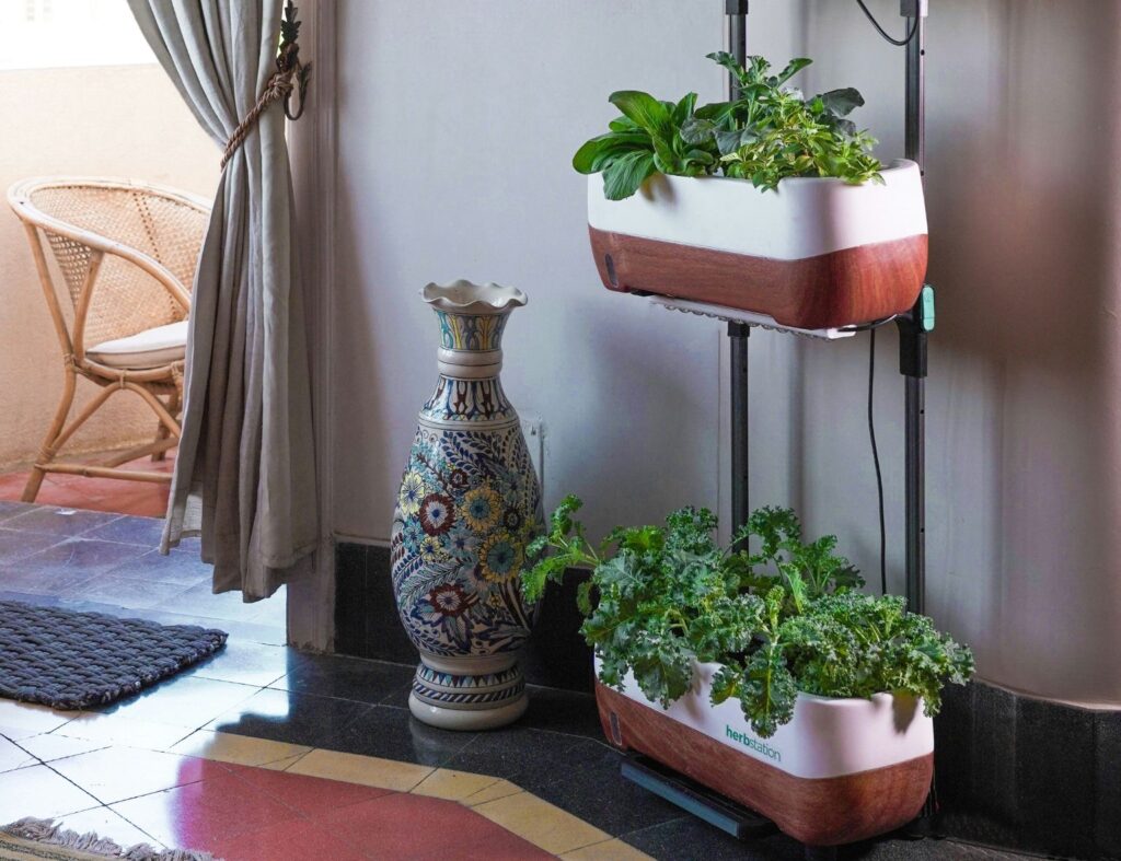 Existe beleza também no jardim interno artificial! Fonte: Unsplash