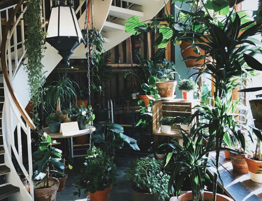Combine vasos de diferentes alturas para criar um jardim interno mais dinâmico! Fonte: Unsplash